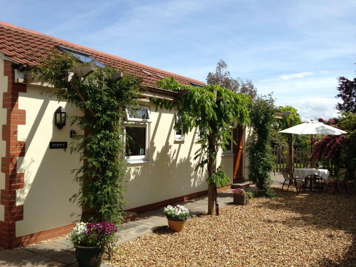 Ashford House B&B Wells Dış mekan fotoğraf